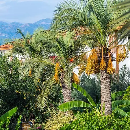 Eftalia Holiday Village Resort 5*